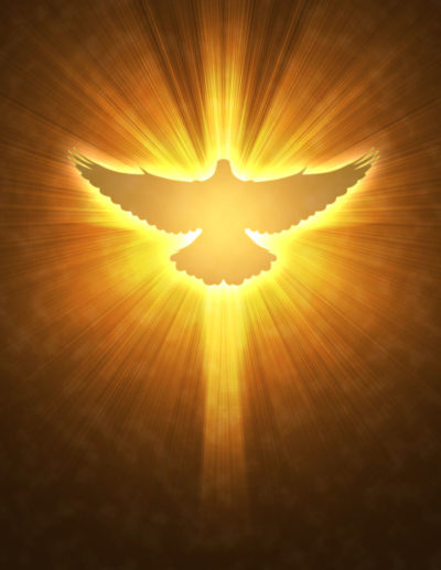 shining dove with rays on a dark golden background